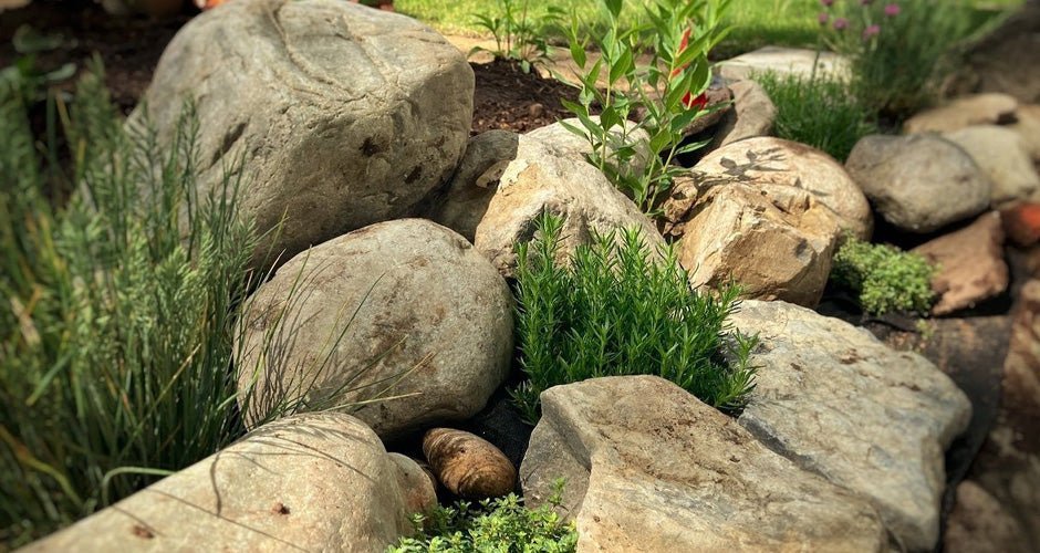 10 Striking Rock Garden Ideas For Your Outdoor Space - Lume Outdoor Living