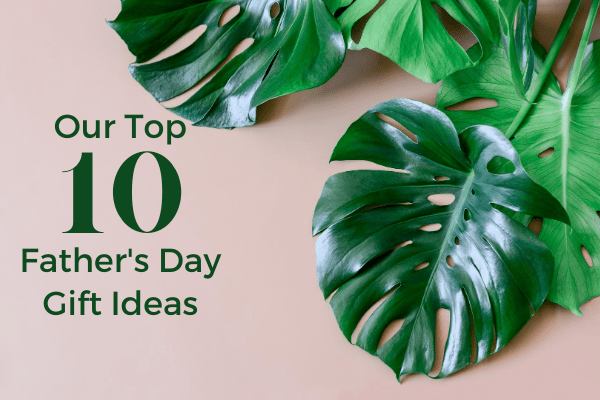 Top 10 Father's Day Gift Ideas - Lume Outdoor Living
