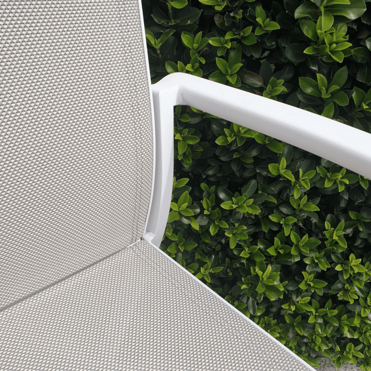 Florida Dining Chair - White/Beige - Lume Outdoor Living