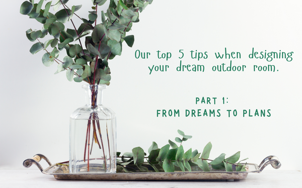 Mini Blog Series:  Part 1 From dreams to plans!