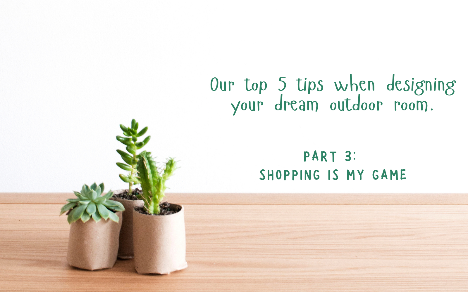 Mini Blog Series:  Part 3 Shopping is my game!