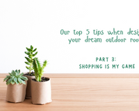 Mini Blog Series:  Part 3 Shopping is my game!
