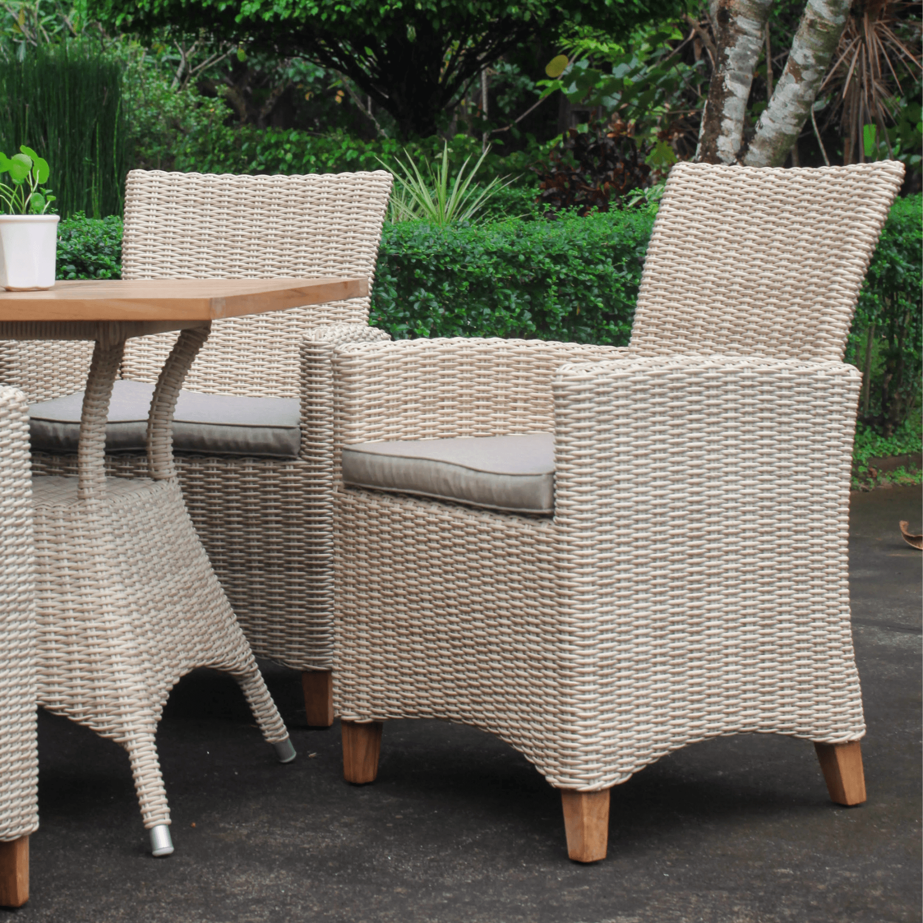 Venice wicker outdoor dining chair - Lume Outdoor Living